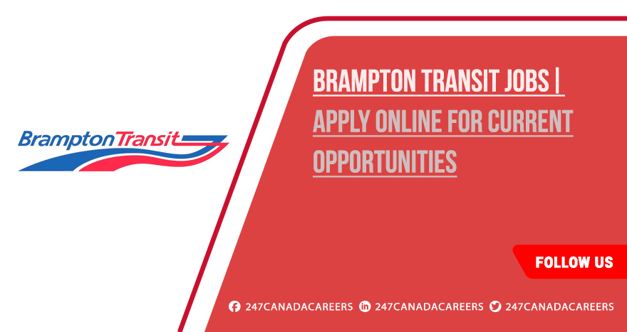 Brampton Transit Jobs | Explore Latest Opportunities for Freshers Brampton Transit Jobs